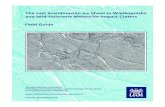 The Last Scandinavian Ice Sheet in Wielkopolskapalaeoarc.amu.edu.pl/wp-content/uploads/2019/05/Pa... · 5 The Last Scandinavian Ice Sheet in Wielkopolska and Mid-Holocene Meteorite