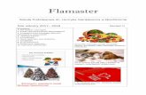 Flamaster · 2017-12-06 · Europejski Dzień Zdrowego Żywienia i Gotowania Co to znaczy żyć jak pies z kotem? O naszych zwierzęcych ulubieńcach. Zdrowych, wesołych świąt