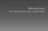 FIZJOLOGIA UKŁADU NERWOWEGO część `Ikzf.amp.edu.pl/Lekarski I rok/receptory.Wykład.skr.pdfzwiązanie cząsteczki sygnałowej indukuje zmiany w aktywności komórkowej (np. receptor