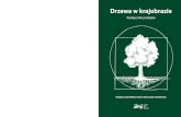Drzewa w krajobraziedrzewa.org.pl/wp-content/uploads/2018/05/drzewa-w...Drzewa w krajobrazie Misją Fundacji EkoRozwoju jest praktykowanie i promowanie rozwoju zgodnego z naturą.