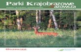 Parki Krajobrazowe Mazowsza - parkiotwock.plparkiotwock.pl/images/parki/mazowiecki-zespol/kwartalnik-mzpk/... · miamy ptaki zimą – szkolny karmnik”. Do konkurso-wych zmagań