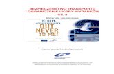 BEZPIECZEŃSTWO TRANSPORTU I OGRANICZENIE LICZBY …drogipubliczne.eu/wp-content/uploads/2020/02/bezp2.pdf · Bezpieczeństwo transportu i ograniczenie liczby wypadków 1 Część