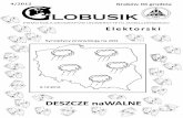DESZCZE naWALNE - Jagiellonian Universitykolo.geo.uj.edu.pl/globusik/Globusik_2012_4.pdf · 2012-12-21 · W najbliższych dniach w Krakowie odbędzie się cykl spotkań dotyczących
