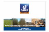 05 Andrzej Rubczyński - powermeetings.eu · • premia dla producentów energii za stosowanie biomasy z upraw energetycznych ... • Przygotowanie (uprawa gruntu jesienna, uprawa
