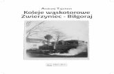 Kolej zwierzyniec bilgoraj - km.com.pl · Połączenie z kolej ... Co ciekawe, w 1903 roku o pozwolenie na konną kolej wąskotorową w okolicach Biłgoraja wystąpiło Towarzystwo