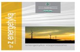 INSTYTUT NA RZECZ EKOROZWOJU z energetyką · 2011-11-30  · opisania zmian w sektorze i na rynku wytwarzania energii elektrycznej i jest znana pod nazwą „generacji rozproszonej”.