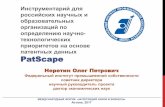 Инструментарий для российских ...nauka.kz/upload/files/Neretin_Oleg_-_PatScape.pdf · полезным моделям и промышленным образцам
