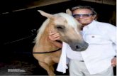 Oliviero kocha konie. Lubi przejażdżki po okolicy, …blog.olivierotoscanistudio.com/wp-content/uploads/2015/...wygląda jak zejście do bunkra – to sprytne rozwiązanie, bo z