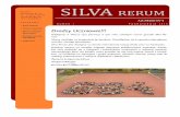 SILVA RERUM - gim94.edupage.org · Silva Rerum jest dostępna na stronie internetowej naszej szkoły oraz na Facebooku. Jesteśmy otwarci na wszelkie sugestie dotyczące publikowanych