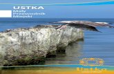 USTKAustka.travel/flipbooks/pdf/Przewodnik2011_cm41f6cndxq5n4...Pierwsza udokumentowana wzmianka o mieście po-chodzi z 1337 roku i mówi o tym, iż cały i niepodzielny port Ustka,