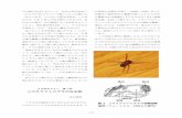 ユカタヤマシログモの吐糸説akiraikeda.la.coocan.jp/kishidaiapdf/y35-2.pdf · IN Nentwig (ed.), Spider Ecophysiology , 241-251. 正誤 「遊絲」No.35 （2014 年11 月25