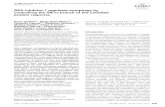 BAX inhibitor-1 regulates autophagy by controlling the ...walterlab.ucsf.edu/wp-content/uploads/2015/04/embo-2011-castillo.pdfThe EMBO Journal (2011) 30, 4465–4478. doi:10.1038