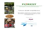 Projekt wspierany przezbape.com.pl/wp-content/uploads/2014/09/FOREST... · Spis treści I. ANALIZA ... Promocja integracji poszczególnych elementów łaocucha dostaw i opracowanie