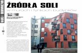 NAUKA I BUDOWNICTWO ŹRÓDŁA SOLIbuildercorp.pl/wp-content/uploads/2017/03/ZRODLA_SOLI.pdf · 2017. 3. 31. · Jeśli jednak krysta-liczne osady na powierzchni ściany będą nara-stały,