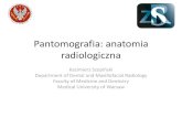 Anatomia radiologiczna pantomografia · Pantomografia: anatomia radiologiczna Kazimierz Szopiński Department of Dental and Maxillofacial Radiology Faculty of Medicine and Dentistry
