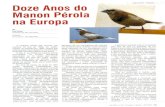 69º Campeonato Brasileiro de Ornitologia Amadorausando somente pérolas, ou através de combinaçäo com negro-marrons e negro- cinzas näo homogêneos. Para os concursos é melhor