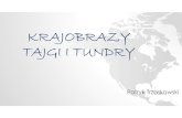 Krajobrazy tajgi i tundry - sp4-skierniewice.plsp4-skierniewice.pl/wp-content/uploads/2020/03/tajga-i-tunda.pdfMicrosoft PowerPoint - Krajobrazy tajgi i tundry Author: Marcin Created