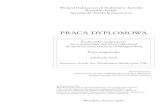 PRACA DYPLOMOWA - if.pwr.wroc.plwsalejda/prace_mgr/praca_pasek.pdf · PRACA DYPLOMOWA ´Srodowisko programowe do wyznaczania macierzy odwrotnej do symetrycznej macierzy trójdiagonalnej