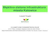 Błękitno-zielona infrastruktura miasta Katowice · 2017. 12. 5. · Błękitno-zielona infrastruktura współtworzy przestrzeń metropolii i jej miast/gmin. Żeby mogła dobrze