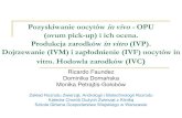Dojrzewanie (IVM) i zapłodnienie (IVF) oocytów inklinikakoni.sggw.pl/attachments/article/63/Ćwicz... · Pozyskiwanie oocytów invivo -OPU (ovum pick-up) i ich ocena. Produkcja