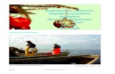 D:KOMRYBKR6-2016KR6-2016 do druku€¦ · Instytut Rybactwa Œródl¹dowego w Olsztynie XLI Szkolenie – Konferencja hodowców ryb ³ososiowatych, Gdynia 13-14 X 2016 r. Kolejny