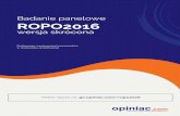 !!!!! opiniac REPO2016 skrotopiniac.com/upload/pl/raport/2016/ROPO2016_skrot.pdfopiniac.com | kontakt@opiniac.com | tel.: 697 400 114 Str. 3 z 12 Produkty z branży DIY w tradycyjnym