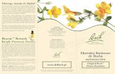 Ekstrakty Kwiatowe dr. Bachadrbach.eu/download/ulotki/38BFRulotka.pdfOriginal Bach Flower Remedies to 38 suplementów diety wynalezionych przez brytyjskiego lekarza Edwarda Bacha,