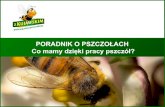 PORADNIK O PSZCZOŁACH Co mamy dzięki pracy pszczół? · 2019. 12. 23. · Dzięki pszczołom mamy aż 4000 odmian warzyw! Tym owadom zawdzięczamy: pomidory, bób, cebulę, ogórki,
