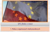 r3 6 01a - Polska w organizacjach międzynarodowych€¦ · Współpraca transgraniczna przybiera różne formy działania, np. uważane za najbardziej zinstytucjonalizowaną –euroregiony,