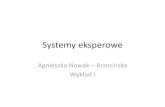Systemy eksperowezsi.ii.us.edu.pl/~nowak/zaocznese/SE_wyklad1.pdf•Renesans: 1970-1975, gdy zaczętobudować pierwsze systemy doradcze, użyteczne w praktyce. •Okres partnerstwa: