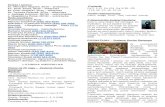 Homepage - Parafia pw. Milosierdzia Bozego w Lombard · Web view2018/05/20  · Z tego względu od czasów starożytnych, sakrament chrztu jest również nazywany „iluminacją”,