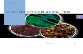 3 マイコプラズマの検出と除去・予防(Nakamura M., ed.), Saikon, Tokyo, 87-102. アポトーシスの誘導因子 への感受性の増加 染色体異常 核酸合成の