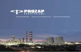 PROJEKTUJEMY TWÓJ SUKCESprozap.com.pl/wp-content/uploads/2019/03/PROZAP-folder-firmowy.pdf · Roztwór saletrzano-mocznikowy (RSM) AdBlue Gazy techniczne Metanol Kaprolaktam Melamina