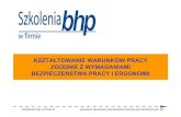 KSZTAŁTOWANIE WARUNKÓW PRACY ZGODNIE Z …mars-zbik.nazwa.pl/Dokumenty/Szkol3.pdf · Elementy systemu zarządzania bhp procedury zasady postępowania zakresy odpowiedzialności
