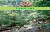 ŻYWY LAS - Nadácia Aevissza sytuacja jest w lasach gospodarczych (67% powierzchni lasów), których główną funkcją jest produkcja masy drzewnej, przy czym często zapomina się