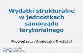 samorządug1.infor.pl/p/_files/314000/1_wydatki_strukturalne_w... · 2017. 2. 17. · w jednostkach samorządu terytorialnego Prowadząca: Agnieszka Drożdżal ... podatek VAT. Wydatki