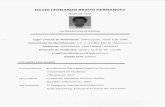 Unillanos ACADEMICO - PROPU… · DAVID LEONARDO BRAVO HERNANDEZ HOJA DE VIDA INFORMACION PERSONAL Lugar y Fecha de Nacimiento: Villavicencio, mayo 6 de 1990 Documento de Identificación: