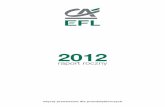 2012Głównymi filarami wzrostu rynku ruchomości w 2012 roku były maszyny i urządzenia oraz IT. EFL w roku 2012 nadal utrzymał pozycję lidera z 8,6% udziałem w rynku leasingu.