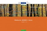 Natura 2000 i lasy - European Commissionec.europa.eu/environment/nature/natura2000... · Natura 2000 i lasy 3 Wdrażanie środków ochrony i odtworzenie ekosystemów leśnych na obszarach