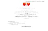 PROGRAM OCHRONY ŚRODOWISKA - Powiat Suski · 3.3. Długoterminowe cele powiatowego programu ochrony środowiska do 2011 r. ... 147 3.4. Priorytetowe działania w ramach realizacji
