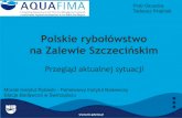 Polskie rybołówstwo na Zalewie Szczecińskim Projekte/Artwei... · I. GATUNKI RYB I ICH POŁOWY (na podstawie danych z lat 1995 – 2012) 1. Płoć – Rutilus rutilus (Linnaeus,