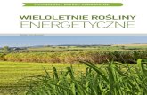 Wieloletnie rośliny energetyczne - Publio.pl · 2011. 11. 2. · WieLOLeTnie ROŚLinY eneRGeTYCZne 9 mieszkańca w Polsce i UE-15, odpowiednio 0,41 i 0,19 ha. Jednakże pod wieloletnie