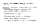 Temat: Budowa i funkcje korzenia. - parafia-dziwiszow.euparafia-dziwiszow.eu/biologia/klI/Biologia.Budowaifunkcjekorzenia.pdf · Rośliny, które zmodyfikowały swoje korzenie do