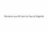 Résistance aux ARV dans les Pays du Maghreb · 2019. 10. 7. · Dr Ali SI-MOHAMMED Virologie –CHU Dijon - France ... Date ARV CV Géno ARN Sanger Géno ARN NGS Géno ADN NGS 30/03/2014