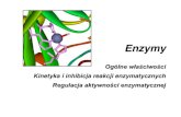 Kinetyka i inhibicja reakcji enzymatycznychbiochemia.umed.pl/data/accounts/16fed1c5-1935-4Dfa-896c...pepsyna (gr. pepsis – trawienie) - (funkcja w organizmie) lizozym (od lizujących