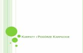 Karpaty i Pogórze Karpackiepliki.2slo.pl/Przeglad_krain_geograficznych... · Najważniejsze miasto – Żywiec Browar (powstał w 1856 r.) - należy do holenderskiego koncernu Heineken