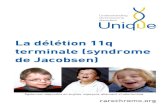 La délétion 11q terminale (syndrome de Jacobsen) · 2018. 3. 22. · 2 La délétion 11q terminale (syndrome de Jacobsen) La délétion 11q terminale est un problème génétique