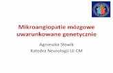 Mikroangiopatie genetycznie uwarunkowane · Choroba małych naczyń mózgu - patologia Grinberg, Thal. Acta Neuropathol 2010 Średnica; 200-800 mc Średnica; 40-300 m Średnica: 40-150