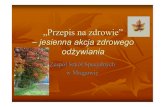 –jesienna akcja zdrowego odżywianiaoswiata.sanepid.olsztyn.pl/wp-content/uploads/2010/12/...Podręczniki, prezentacja multimedialna pt. „Zdrowe odżywianie”. Przebieg zajęć: