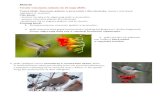 Temat lekcji: Znaczenie ptaków w przyrodzie i dla człowieka ...Wiesz już jakie znaczenie mają ptaki w przyrodzie. Uzupełnij ćwiczenie 6 strona 104 w zeszycie ćwiczeń. 3. A